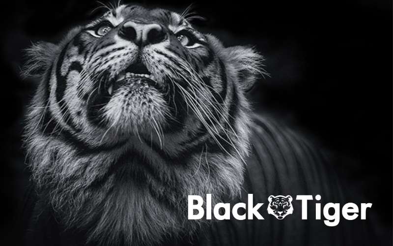 © Black Tiger