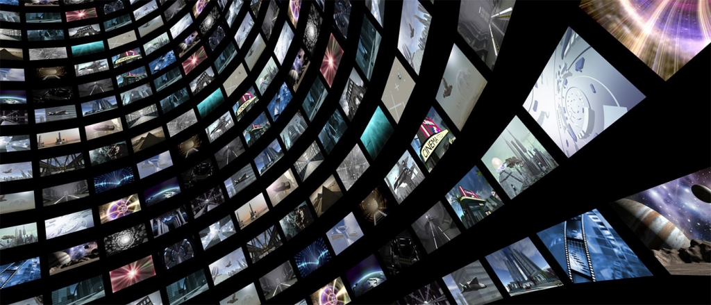© Multichoice © Multichoice