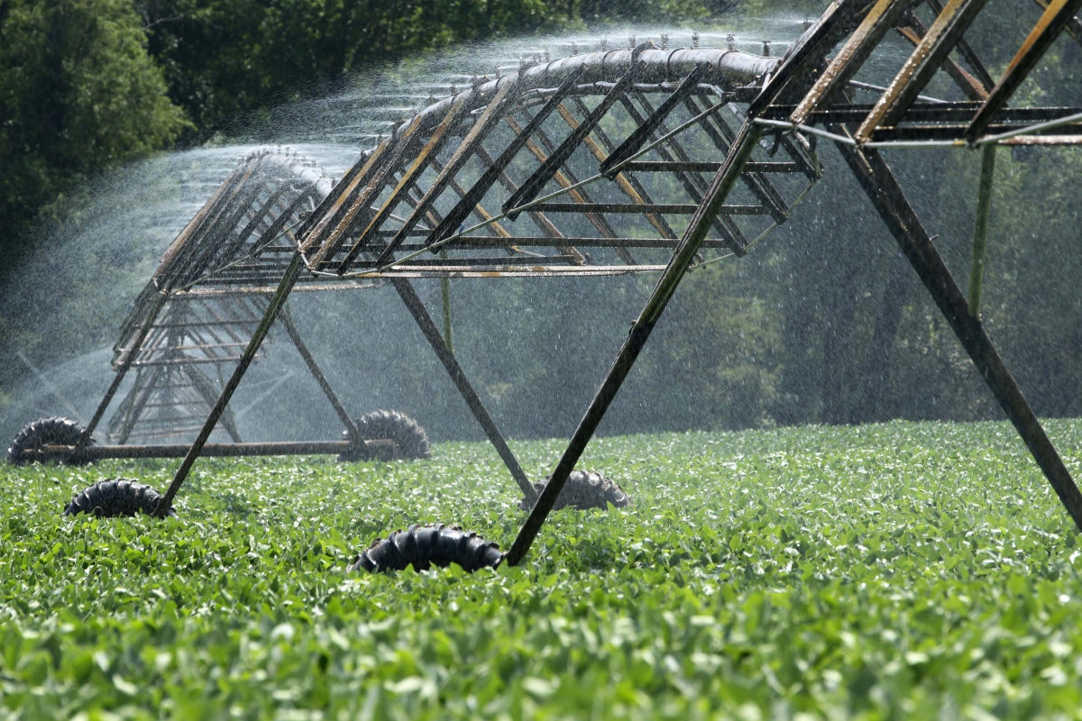 Magriser est leader marocain en micro-irrigation. © Magriser Magriser est leader marocain en micro-irrigation. © Magriser