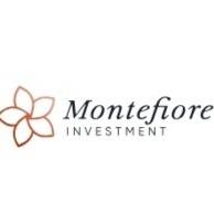 MONTEFIORE INVESTMENT MONTEFIORE INVESTMENT