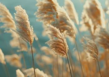 © Adobe Stock