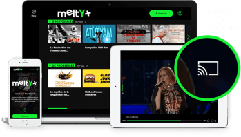 © meltygroup