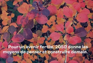 2050