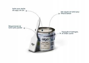 © Algo Paint 