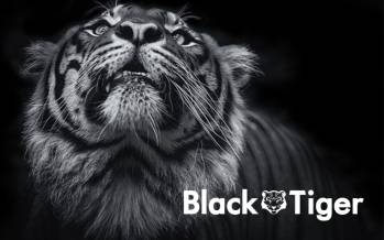 © Black Tiger