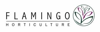 FLAMINGO HORTICULTURE (FLAMINGO)