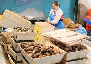 ©Ulysse Marée