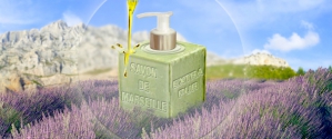 Laboratoires Provendi