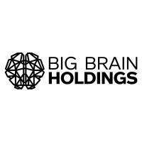 BIG BRAIN HOLDINGS