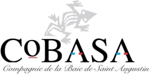 Cobasa
