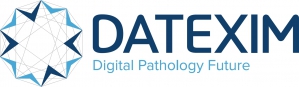 Datexim