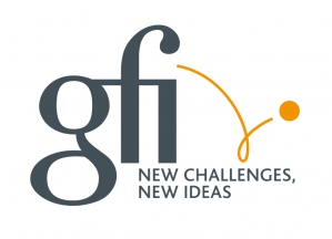 GFI Informatique GFI Informatique