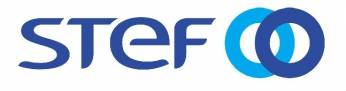 GROUPE STEF