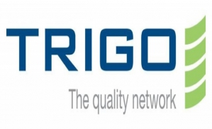 Trigo
