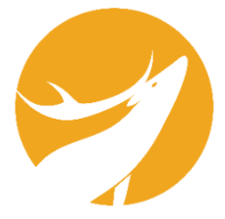 Wild Code School