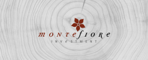 © Montefiore Investment
